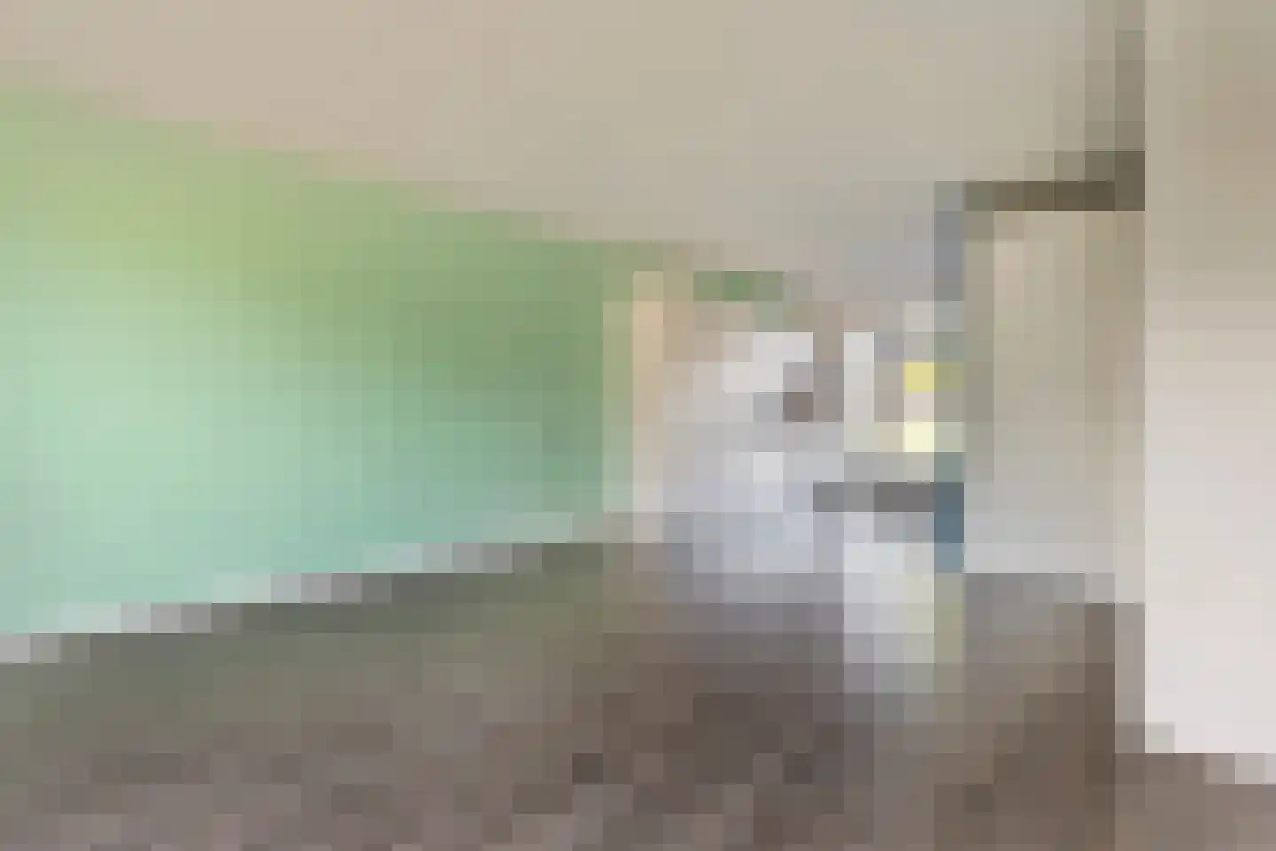 Damhert 12 Heerhugowaard thumbnail 11