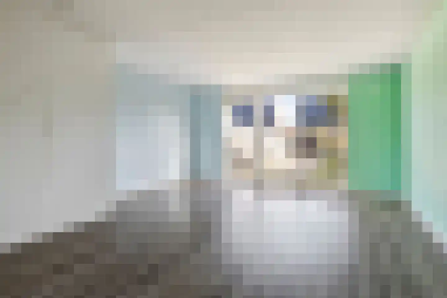 Damhert 12 Heerhugowaard thumbnail 9