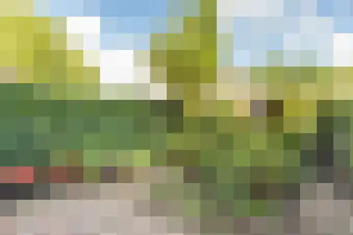 Damhertlaan 141 Driebergen-Rijsenburg thumbnail 34