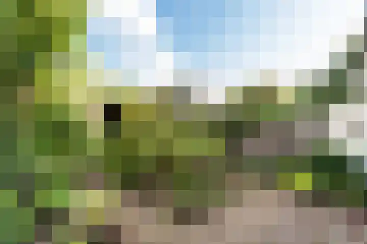 Damhertlaan 141 Driebergen-Rijsenburg thumbnail 35