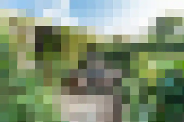Damhertlaan 141 Driebergen-Rijsenburg thumbnail 36