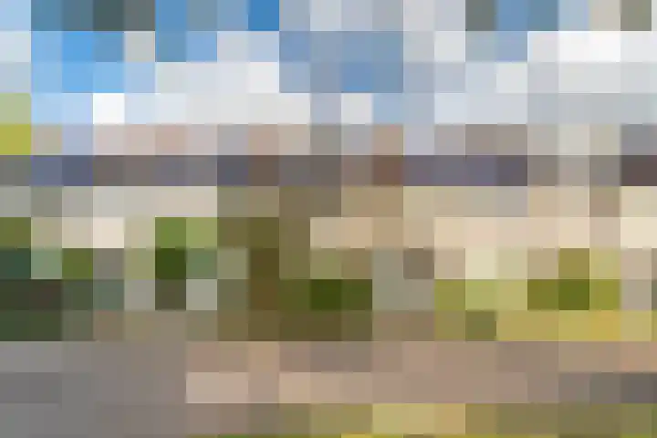 Damhertlaan 141 Driebergen-Rijsenburg thumbnail 38