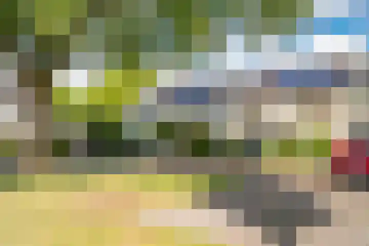 Damhertlaan 141 Driebergen-Rijsenburg thumbnail 39