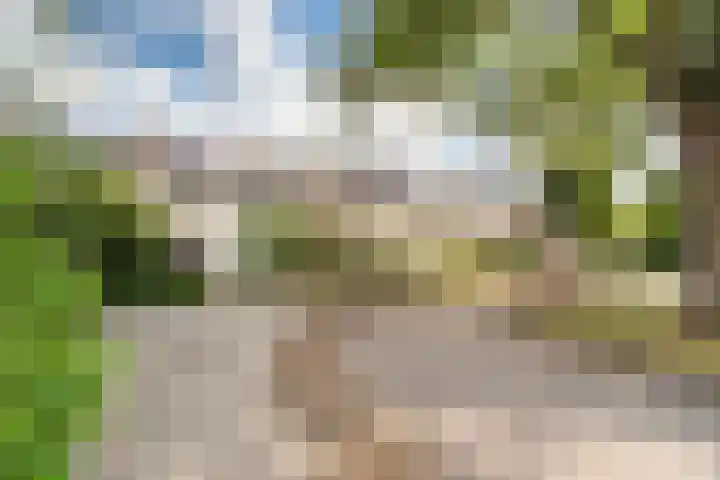Damhertlaan 141 Driebergen-Rijsenburg thumbnail 40