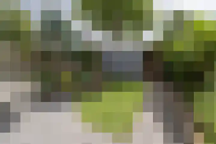 Damhertlaan 15 Driebergen-Rijsenburg thumbnail 43