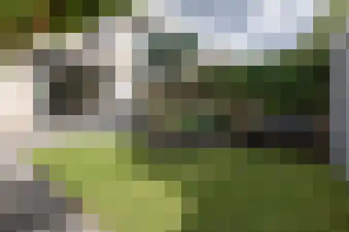 Damhertlaan 15 Driebergen-Rijsenburg thumbnail 45