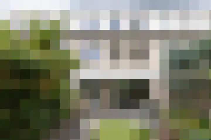 Damhertlaan 15 Driebergen-Rijsenburg thumbnail 46