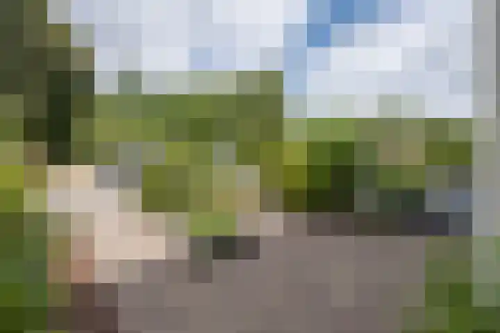 Damhertlaan 15 Driebergen-Rijsenburg thumbnail 47