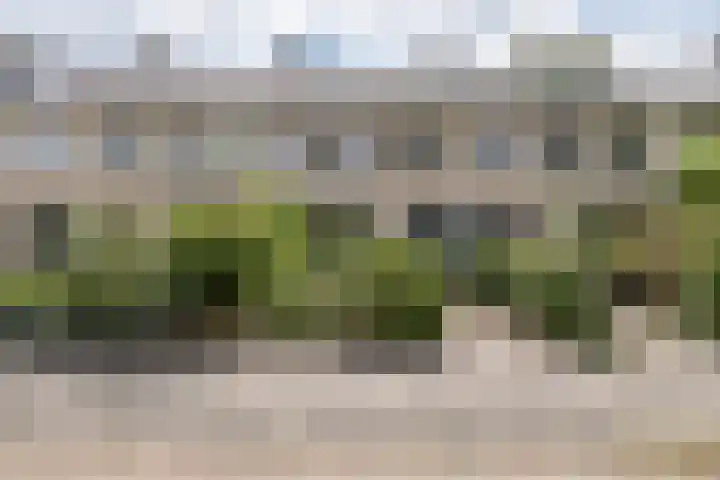 Damhertlaan 15 Driebergen-Rijsenburg thumbnail 48