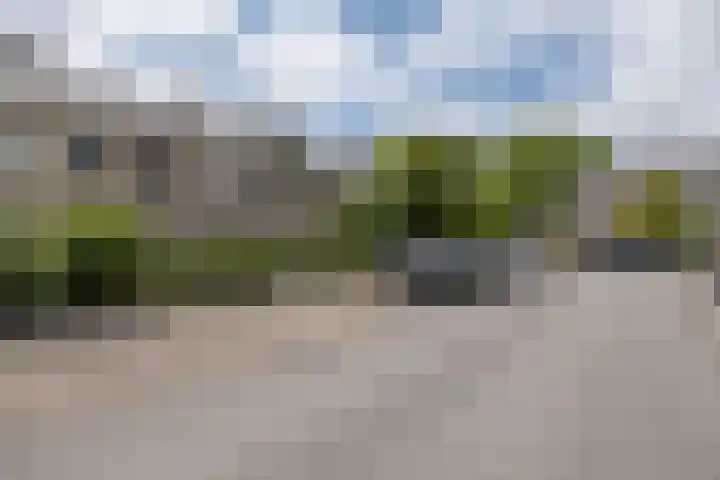 Damhertlaan 15 Driebergen-Rijsenburg thumbnail 49