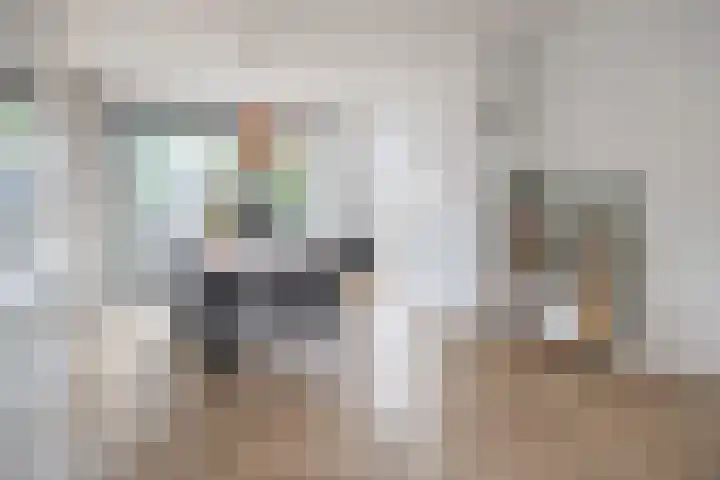 Damhertlaan 15 Driebergen-Rijsenburg thumbnail 8