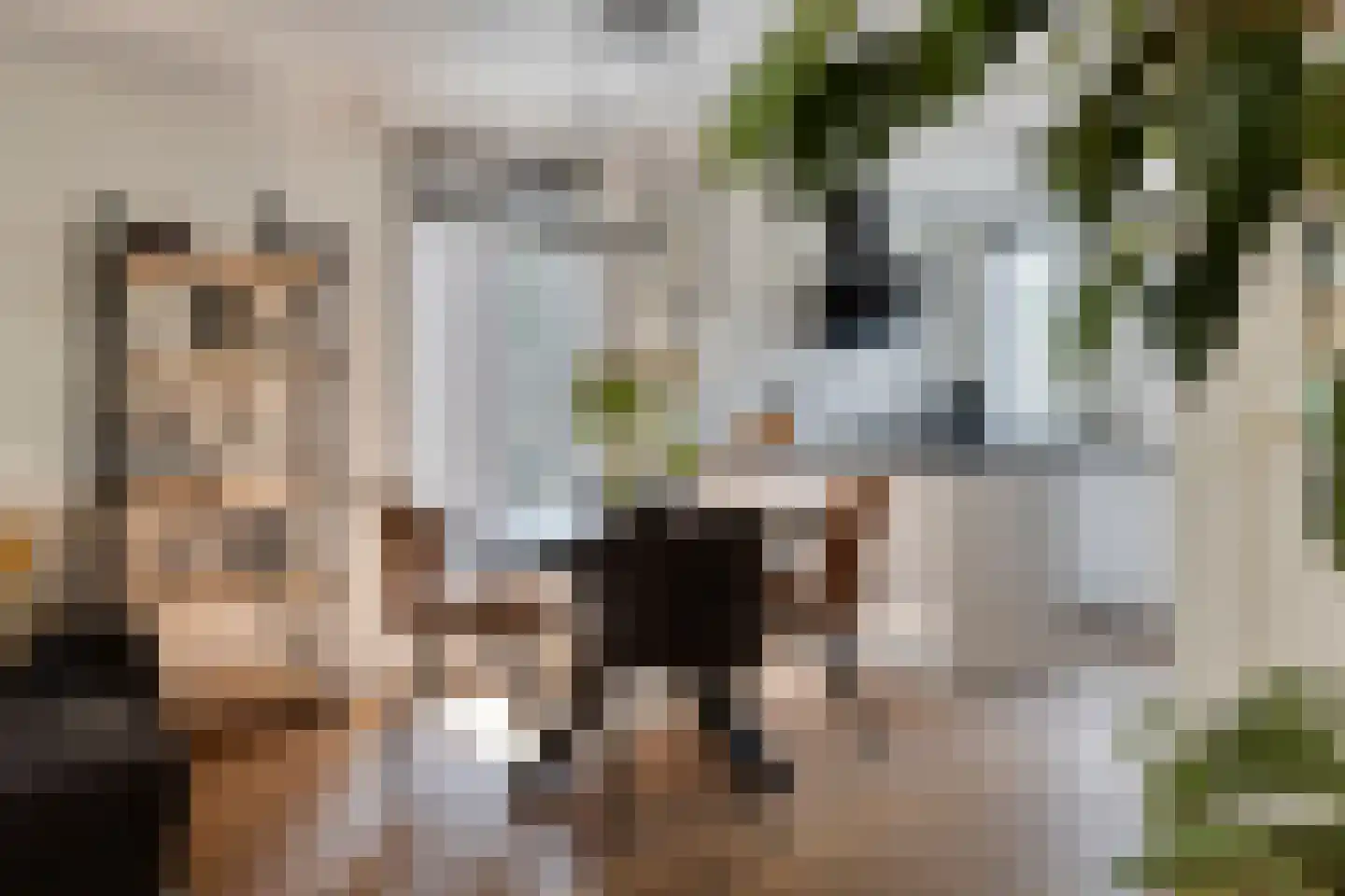 Damhertlaan 15 Helmond thumbnail 10