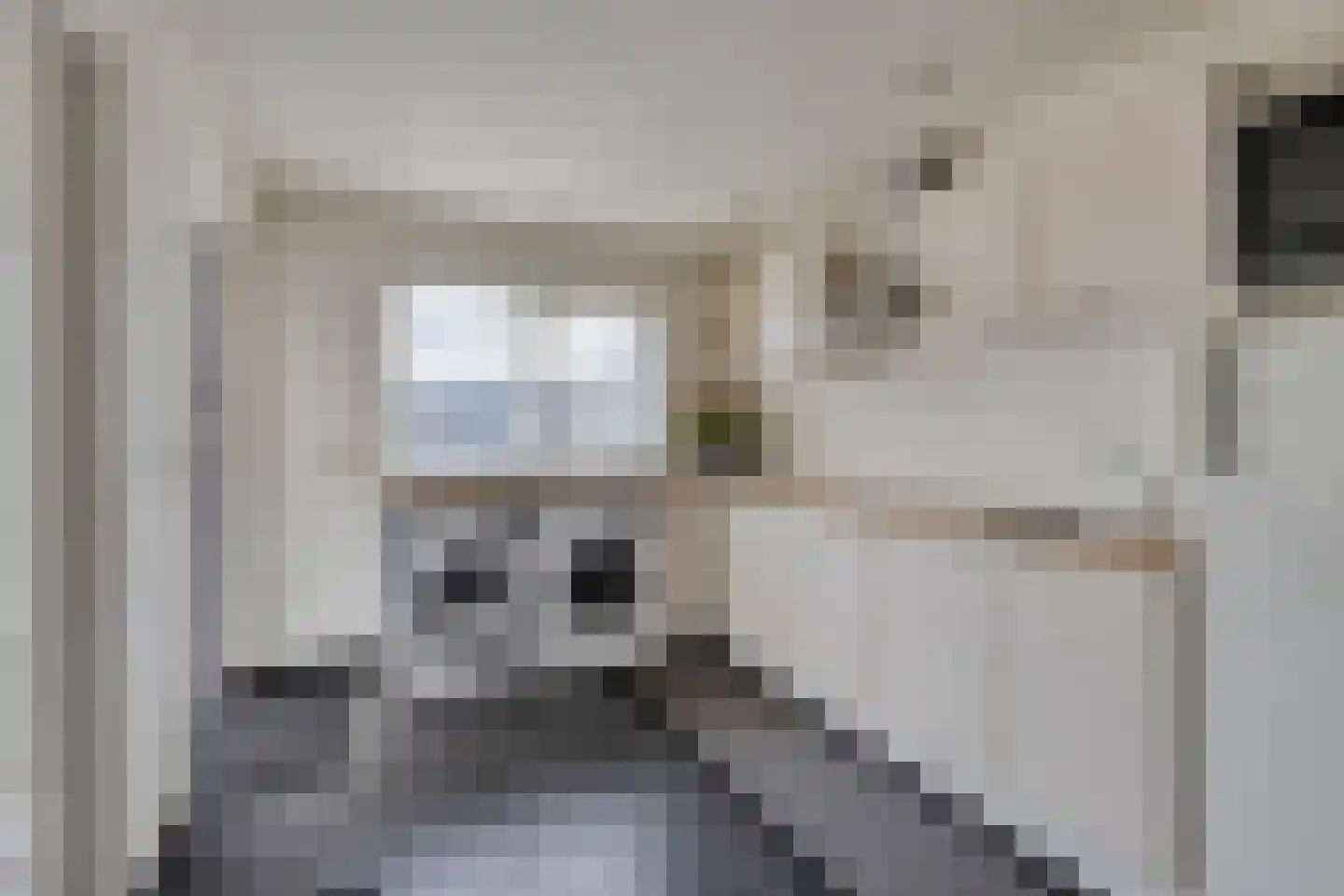 Damhertlaan 15 Helmond thumbnail 19