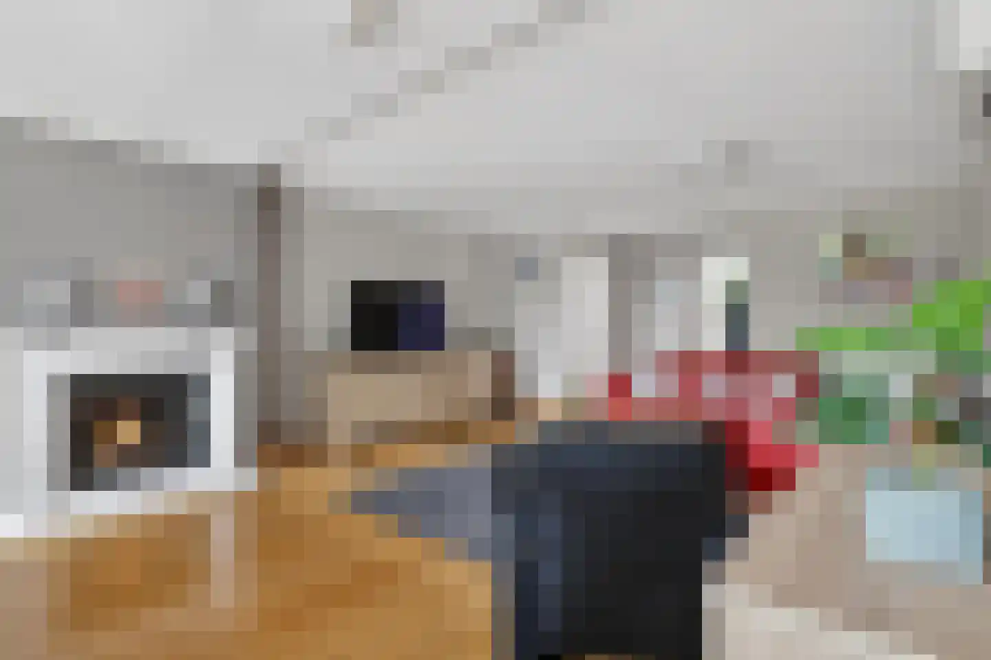 Damhertlaan 21 Helmond thumbnail 13