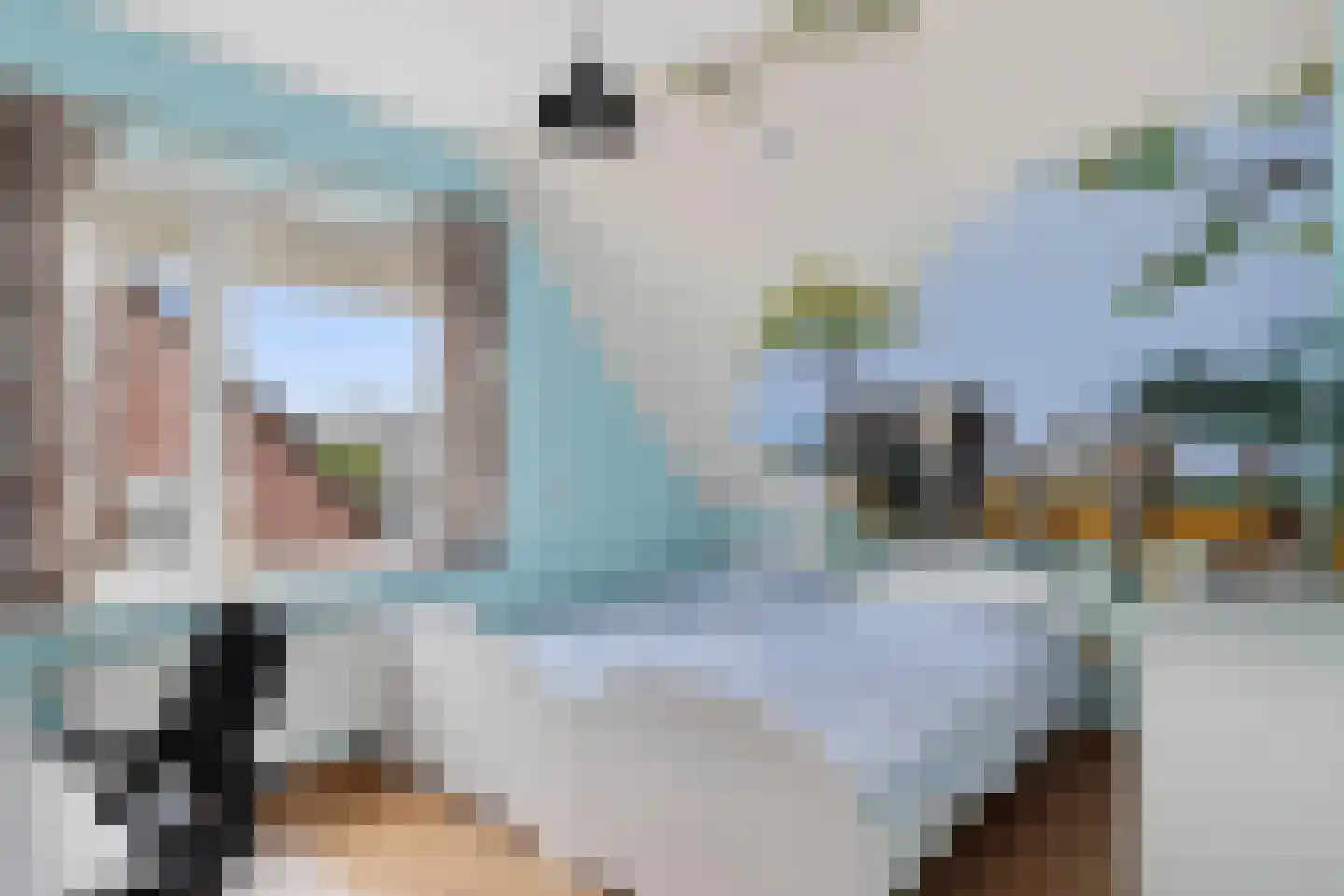 Damhertlaan 21 Helmond thumbnail 27
