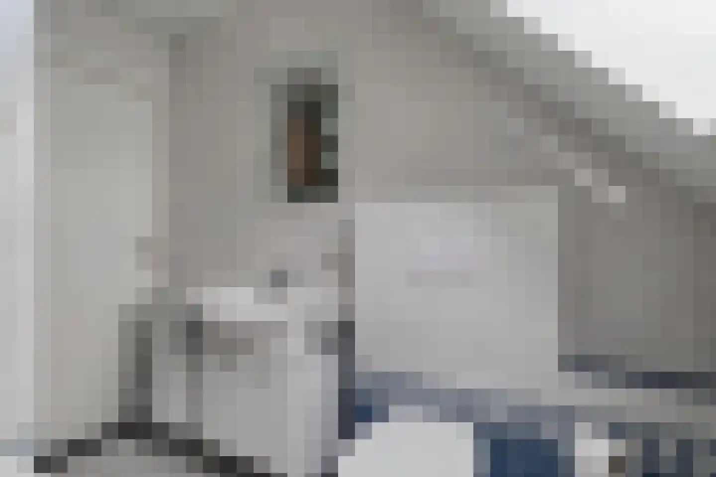 Damhertlaan 21 Helmond thumbnail 30
