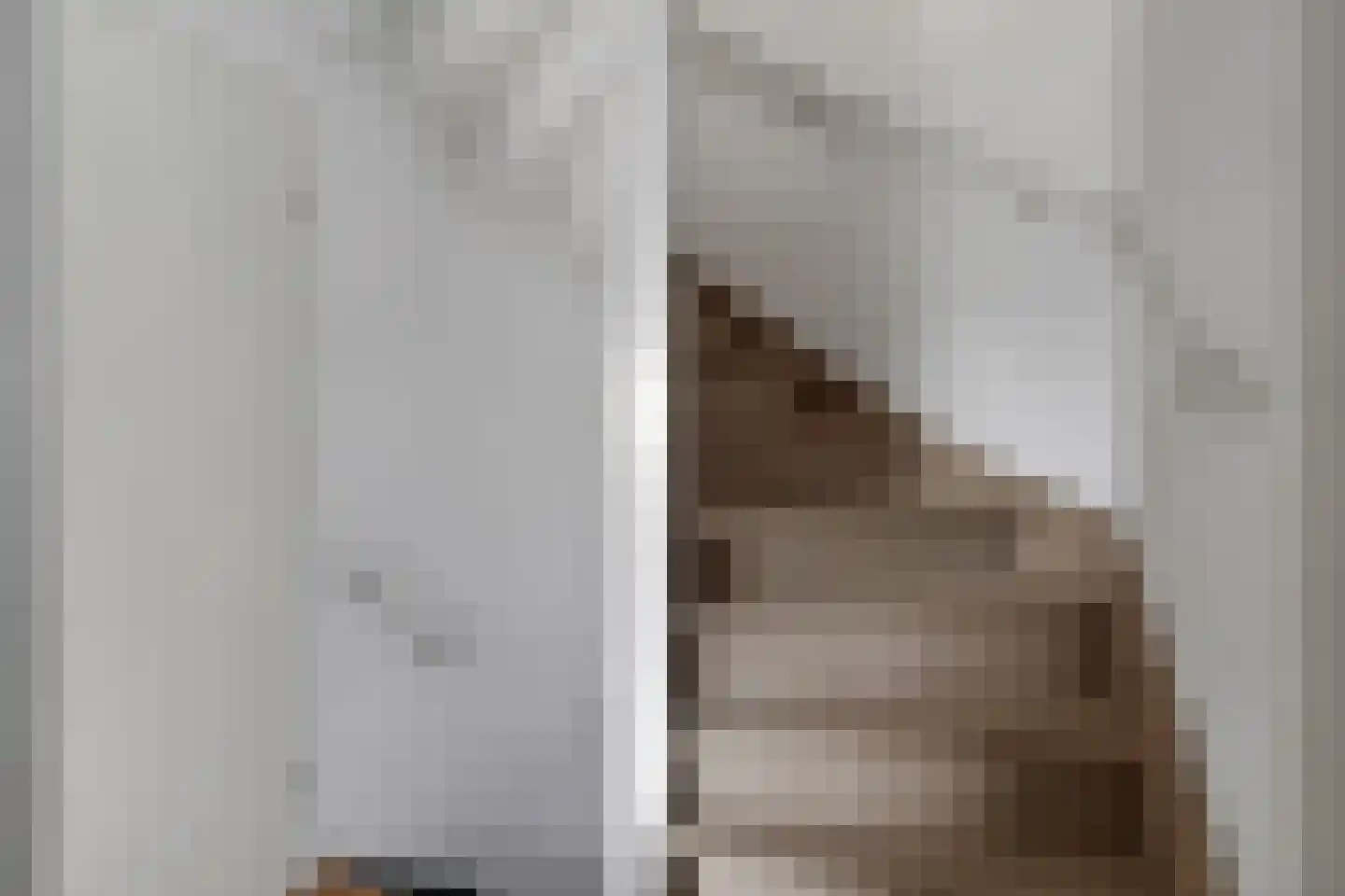 Damhertlaan 21 Helmond thumbnail 33