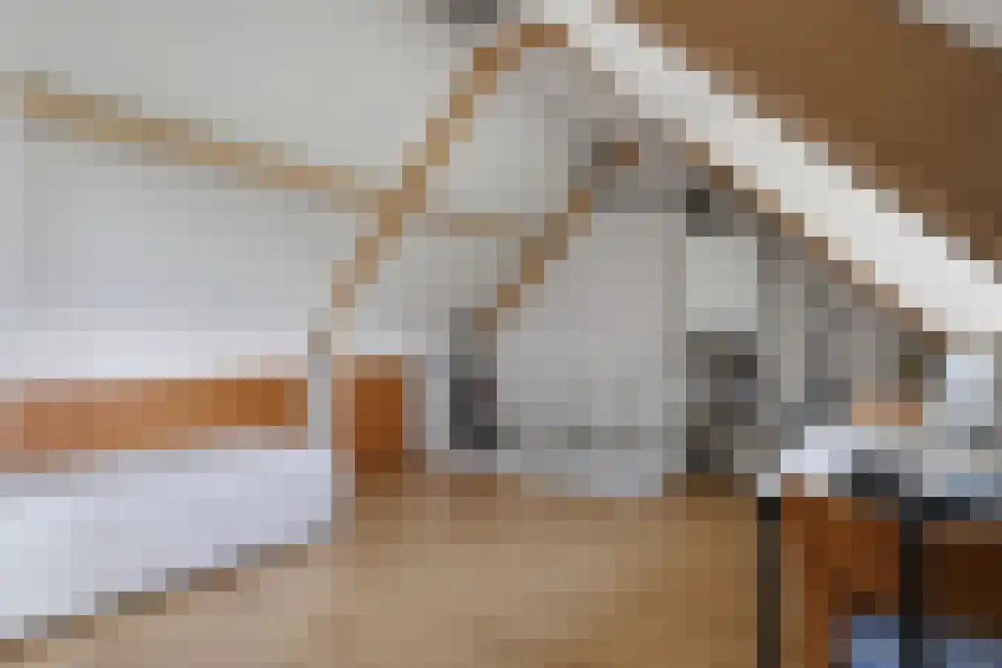 Damhertlaan 21 Helmond thumbnail 35