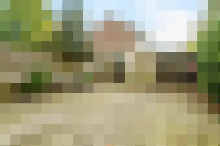 Damhertlaan 23 Driebergen-Rijsenburg thumbnail 18