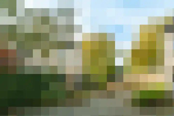 Damhertlaan 23 Driebergen-Rijsenburg thumbnail 20