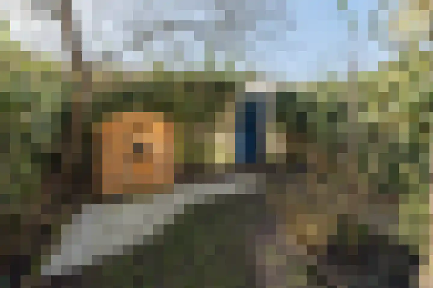 Damhertlaan 35 Driebergen-Rijsenburg thumbnail 37