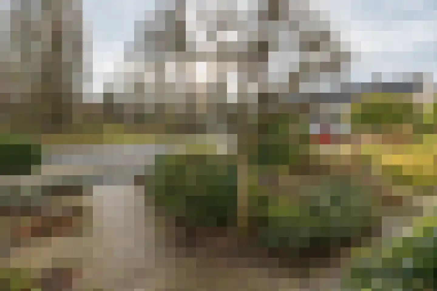 Damhertlaan 61 Driebergen-Rijsenburg thumbnail 38