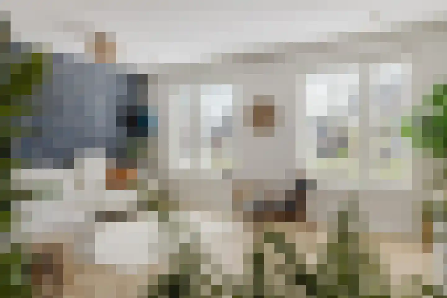Damhertstraat 14 Rucphen thumbnail 5