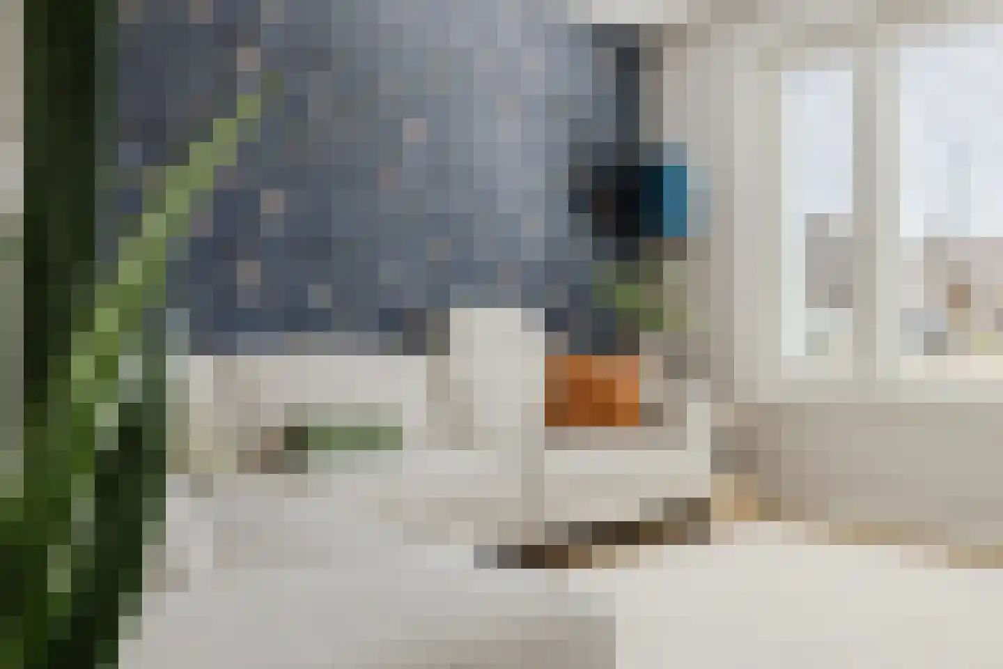 Damhertstraat 14 Rucphen thumbnail 6