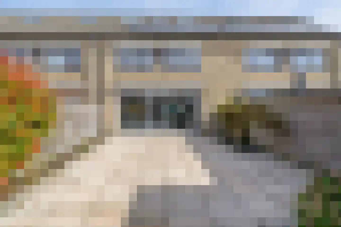 Damhertstraat 41 Rotterdam thumbnail 40