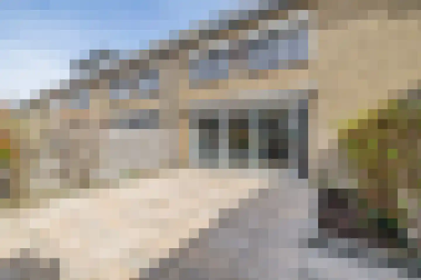 Damhertstraat 41 Rotterdam thumbnail 42