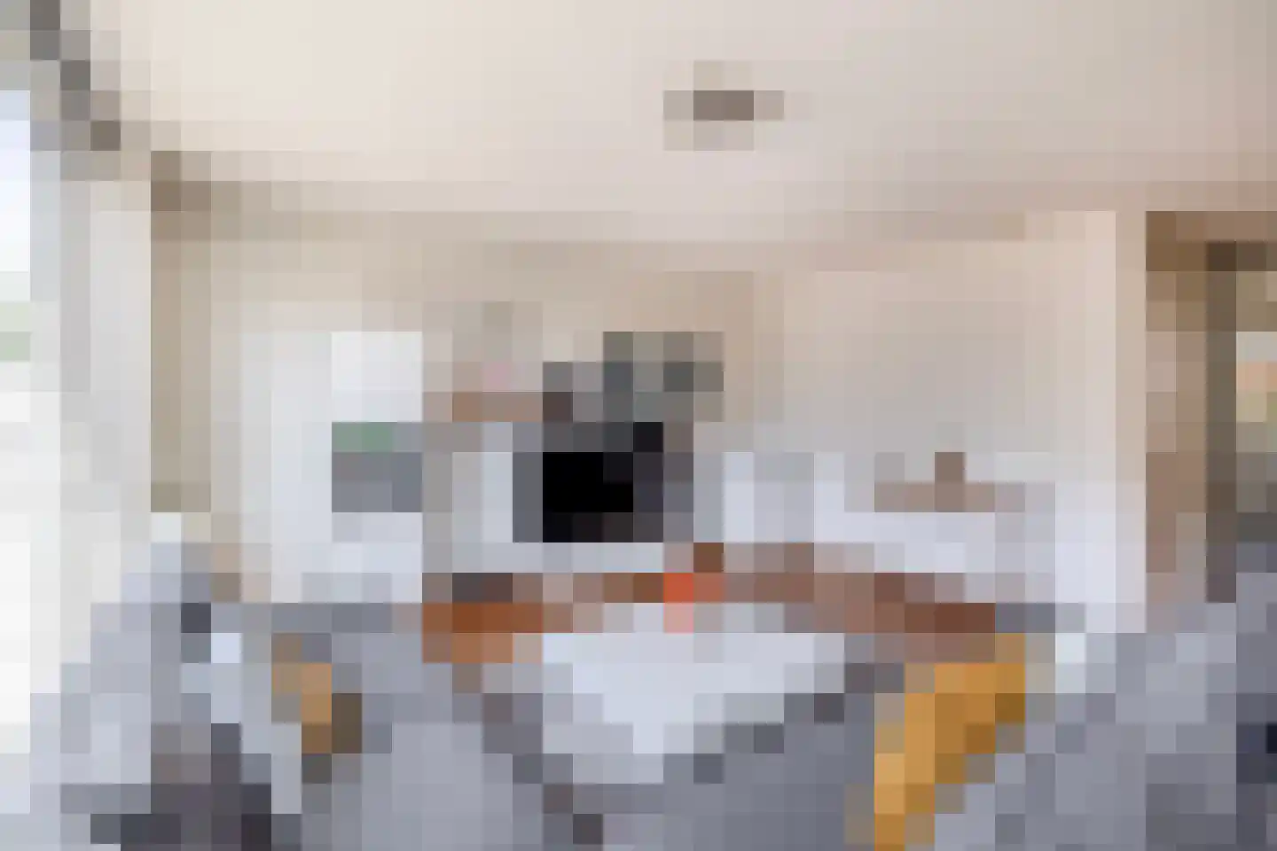 Damhertstraat 41 Rotterdam thumbnail 5