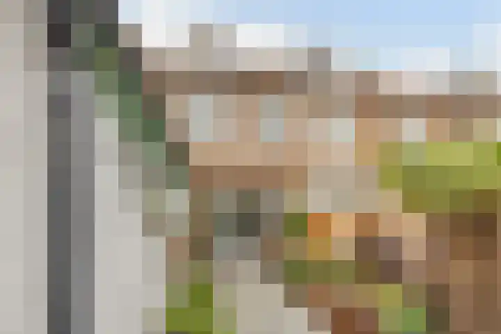 Damhouderstraat 13 Leidschendam thumbnail 38