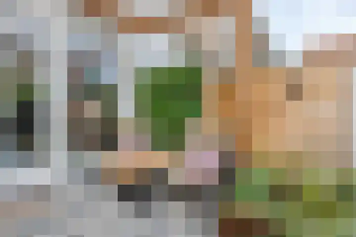 Damhouderstraat 13 Leidschendam thumbnail 4