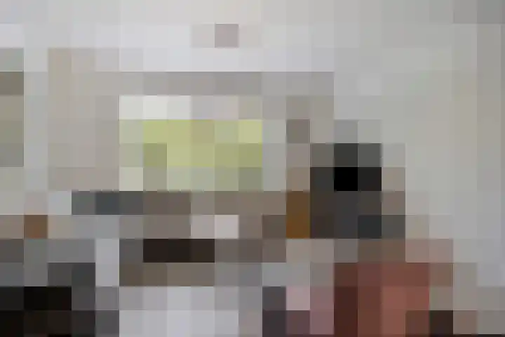 Damiaanberg 10 Meerssen thumbnail 13