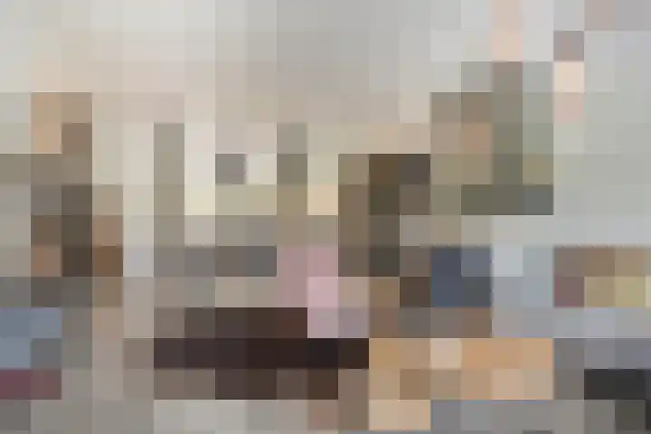 Damiaanberg 10 Meerssen thumbnail 15