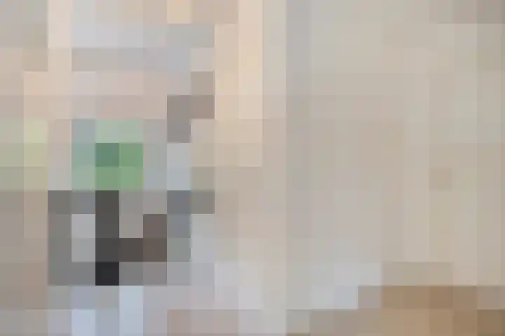 Damiaanberg 10 Meerssen thumbnail 21