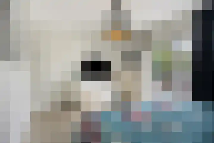 Damiaanberg 10 Meerssen thumbnail 25