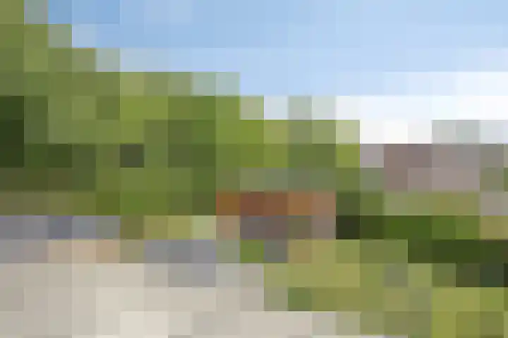 Damiaanberg 10 Meerssen thumbnail 31
