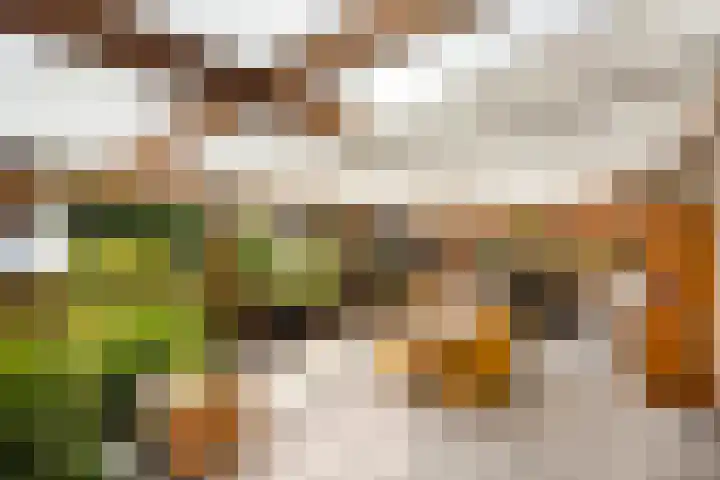 Damiaanberg 10 Meerssen thumbnail 33