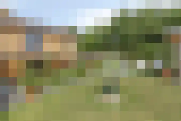 Damiaanberg 10 Meerssen thumbnail 35