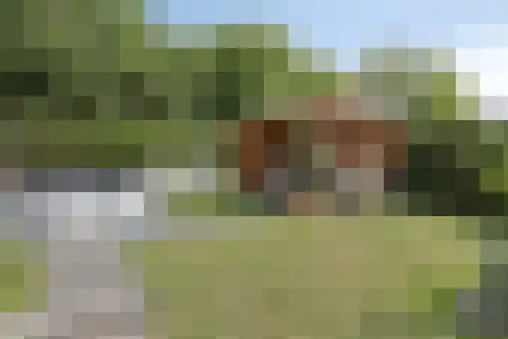 Damiaanberg 10 Meerssen thumbnail 36