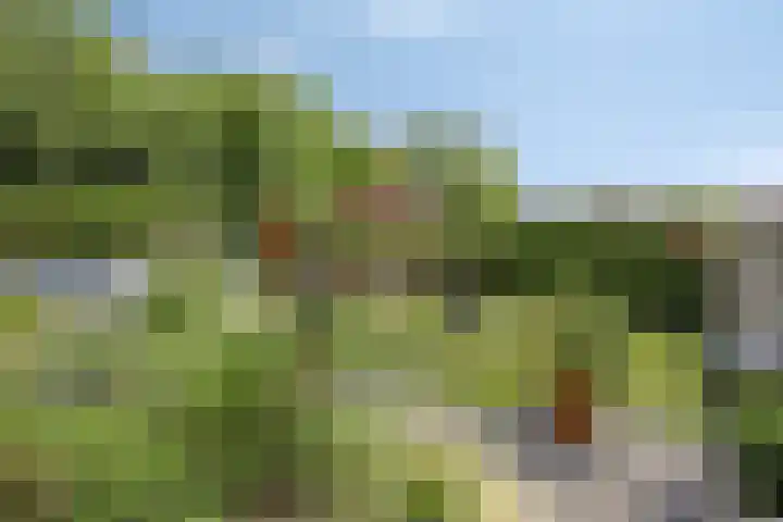Damiaanberg 10 Meerssen thumbnail 4