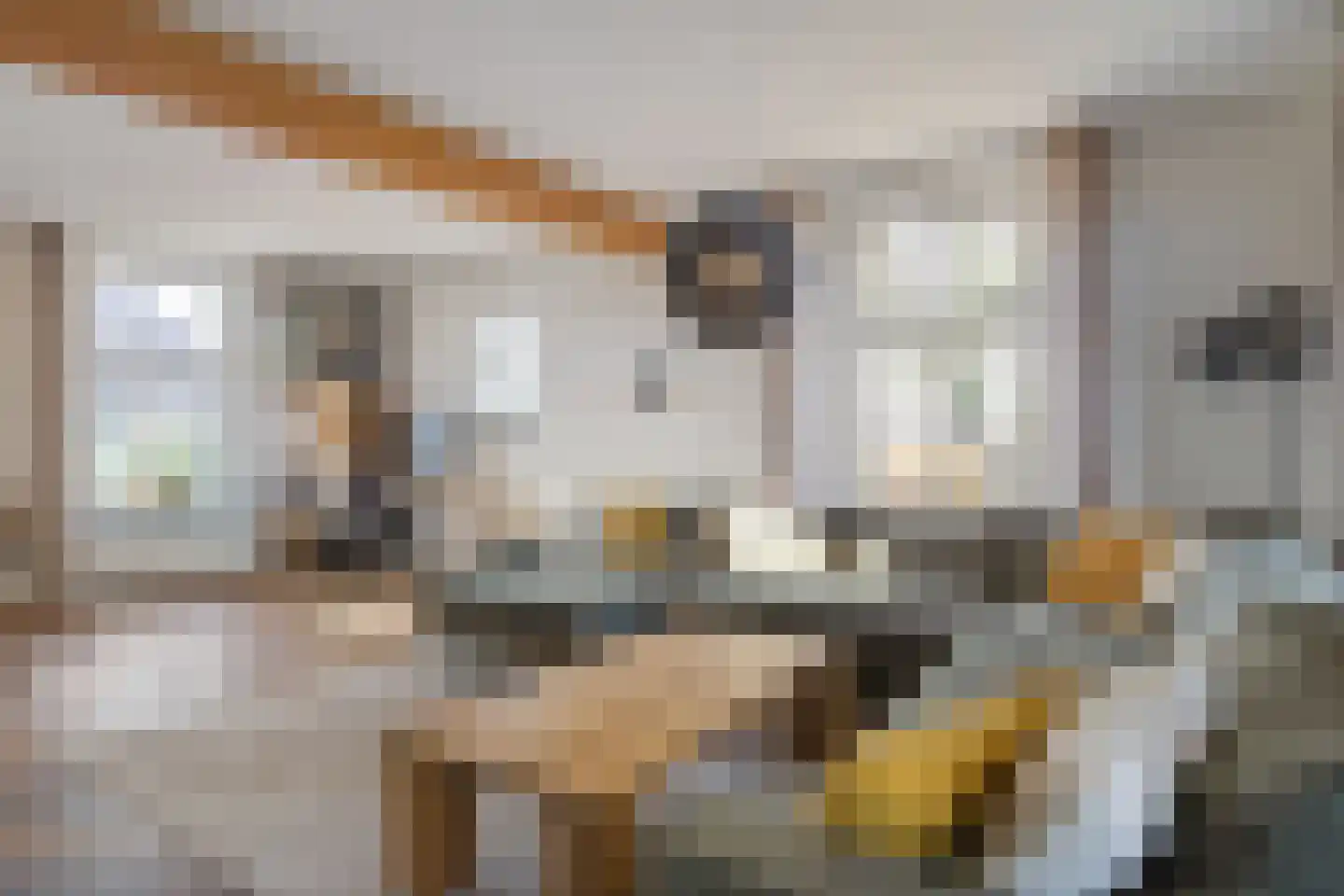 Damianenweg 4 Sint-Oedenrode thumbnail 12