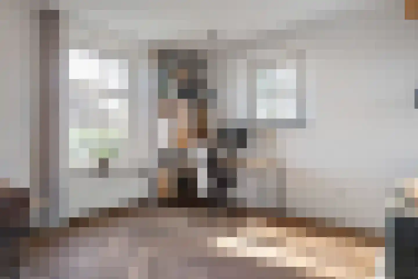 Damianenweg 4 Sint-Oedenrode thumbnail 13