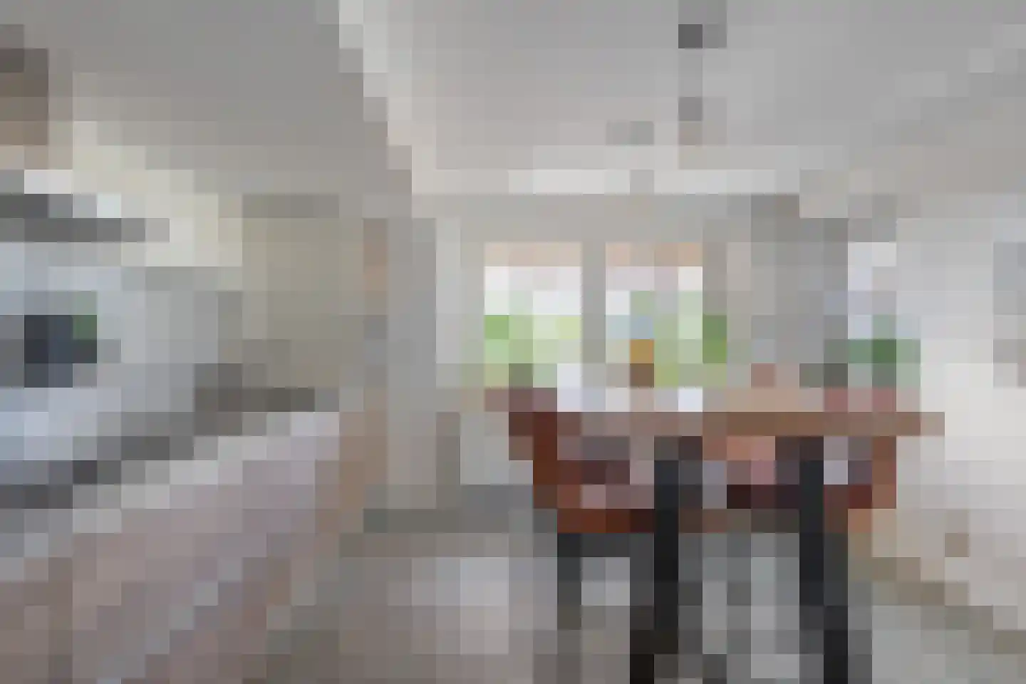 Damianenweg 4 Sint-Oedenrode thumbnail 20