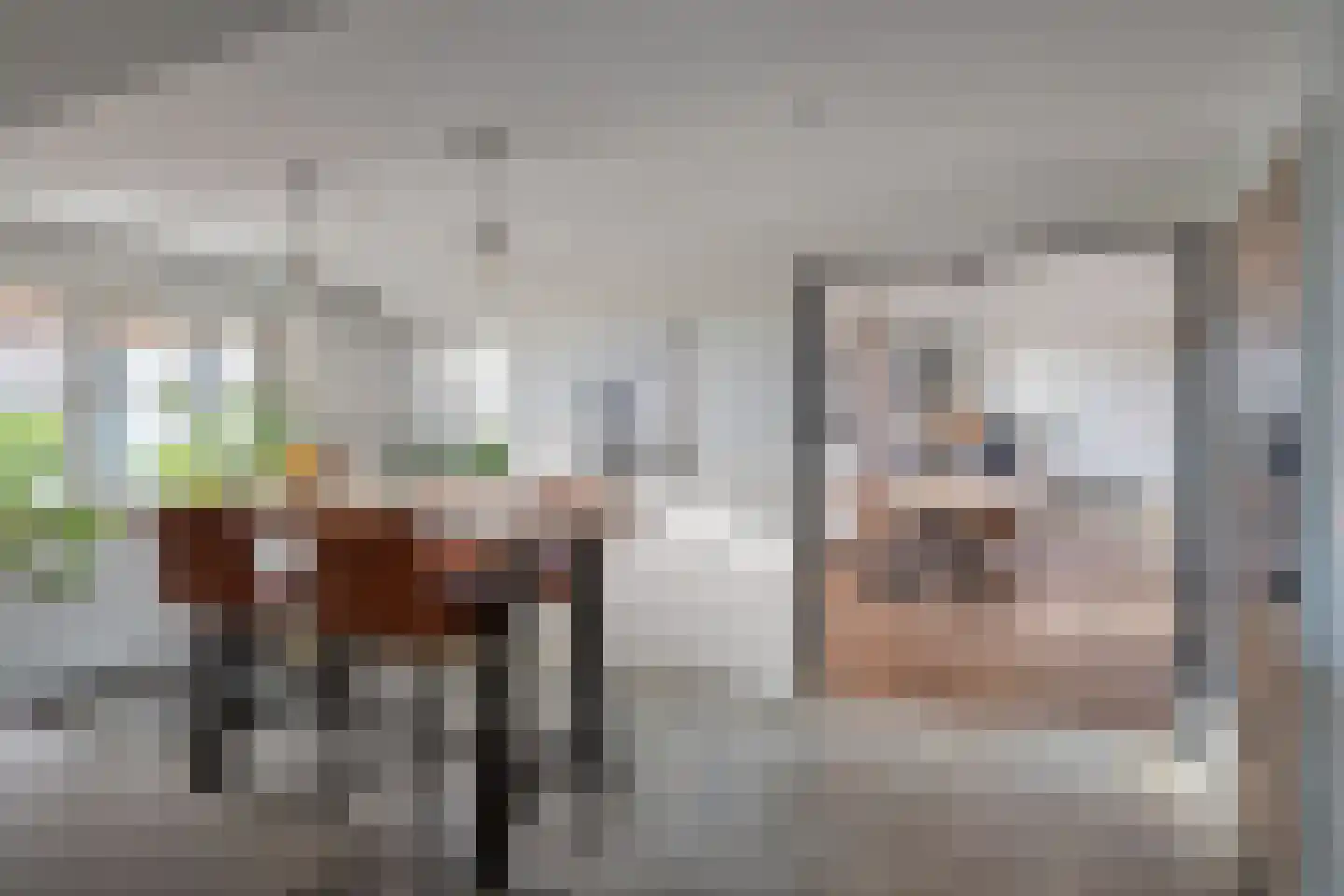 Damianenweg 4 Sint-Oedenrode thumbnail 22