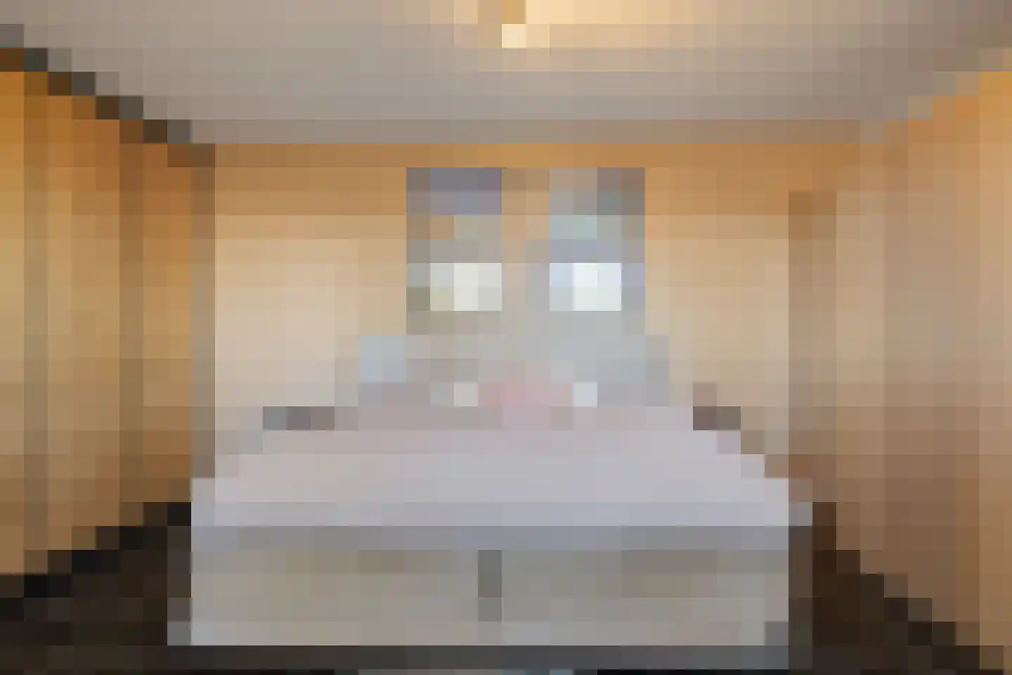 Damianenweg 4 Sint-Oedenrode thumbnail 28