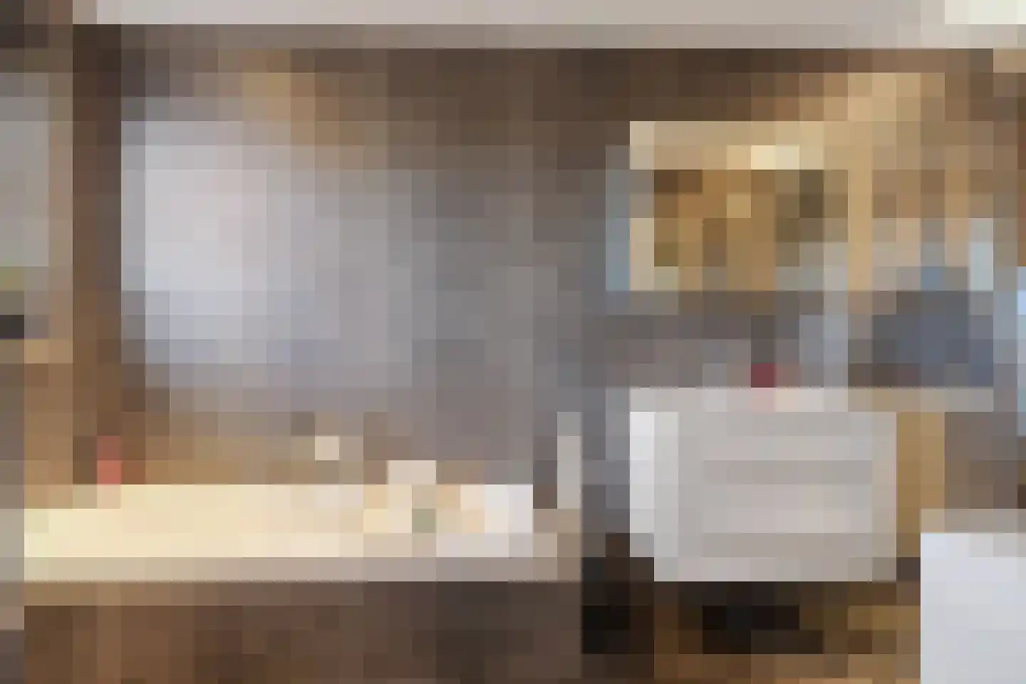 Damianenweg 4 Sint-Oedenrode thumbnail 30