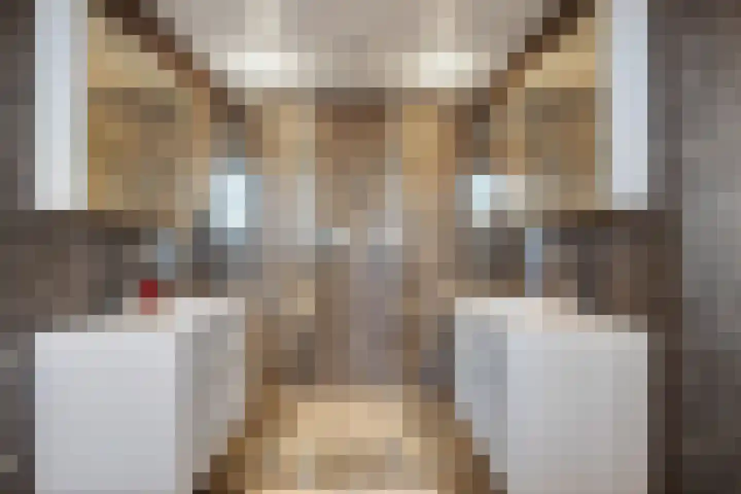 Damianenweg 4 Sint-Oedenrode thumbnail 31