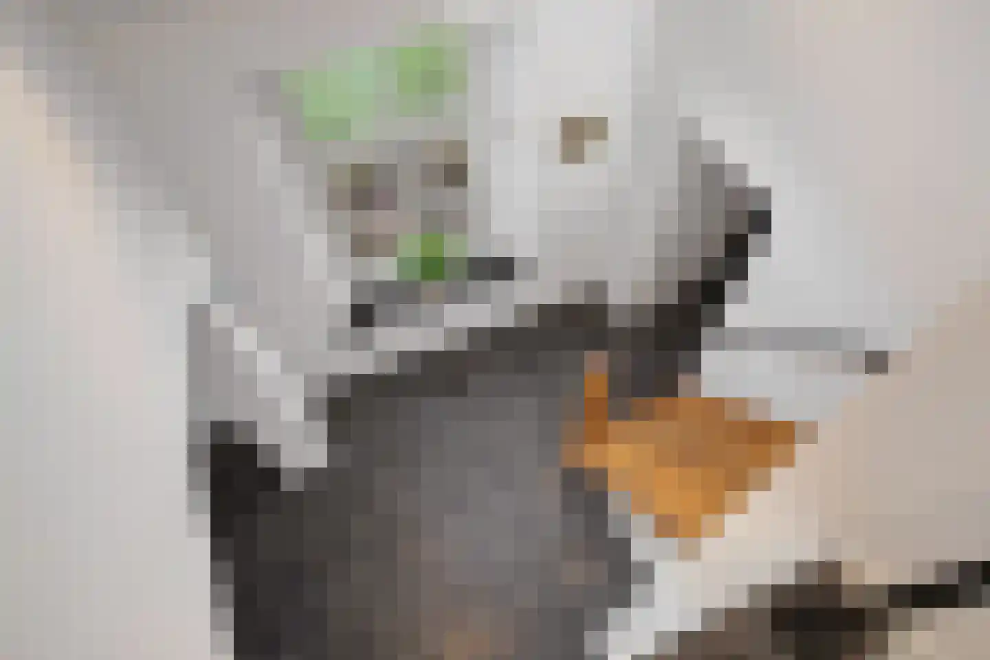 Damianenweg 4 Sint-Oedenrode thumbnail 37